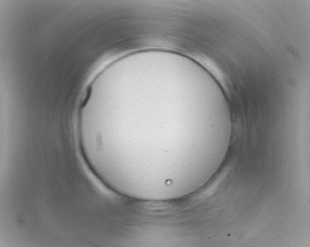 X0000115301391200911231300