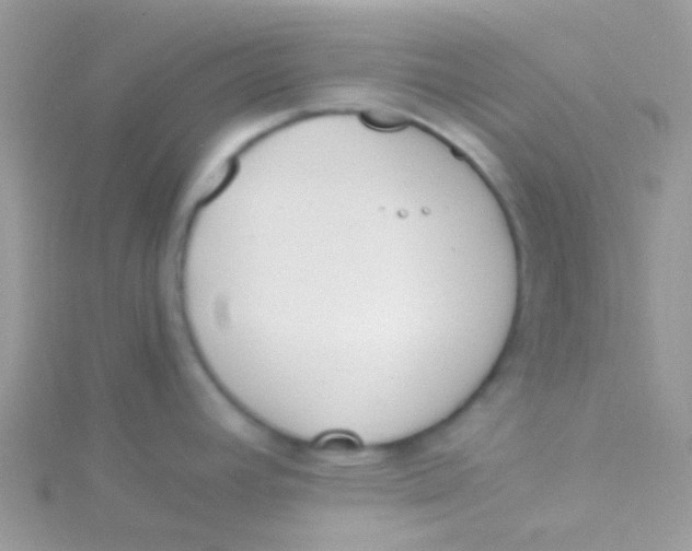 X0000115301392200911231300