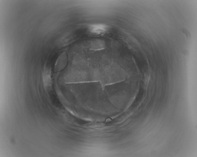 X0000115301394200911231259