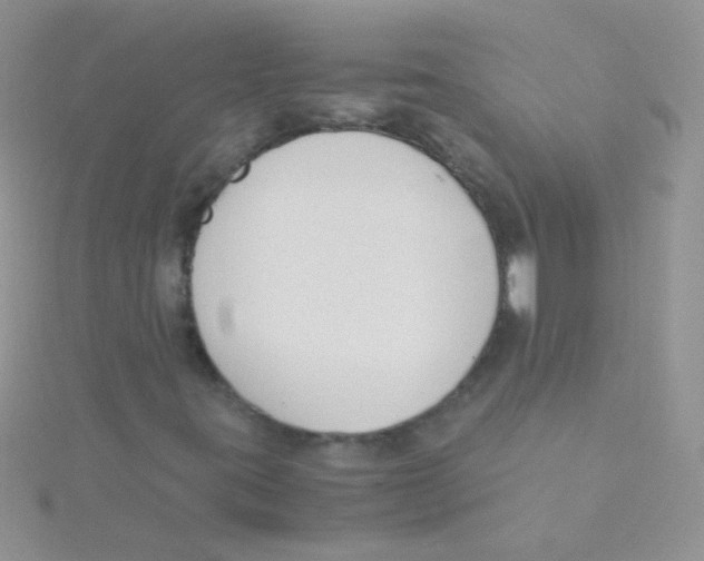 X0000115301395200911231259