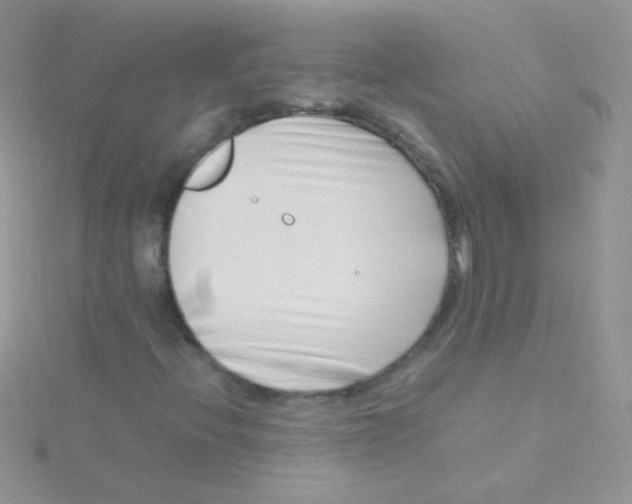 X0000115301396200911231300