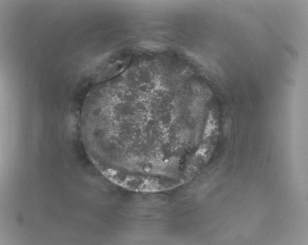 X0000115301397200911231300