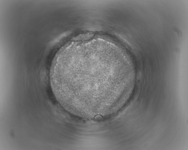 X0000115301398200911231300