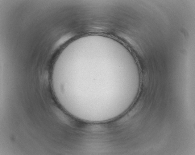 X0000115301402200911231300