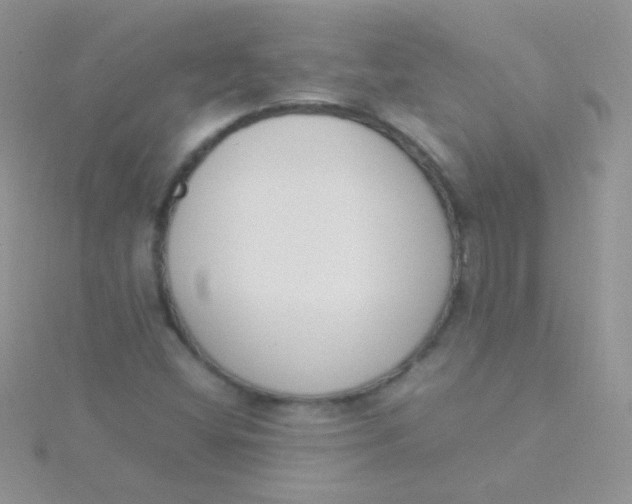 X0000115301404200911231300