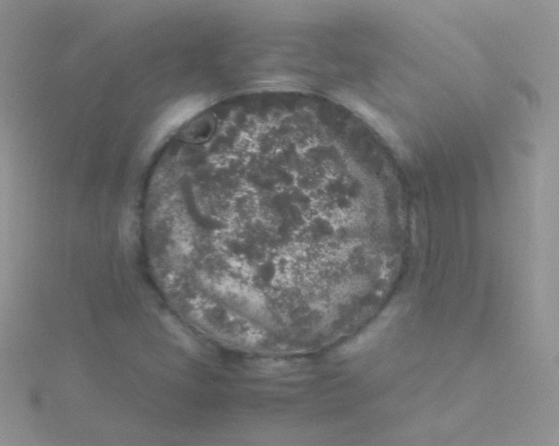 X0000115301405200911231300