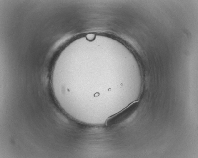 X0000115301406200911231300