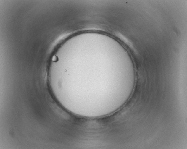 X0000115301408200911231300