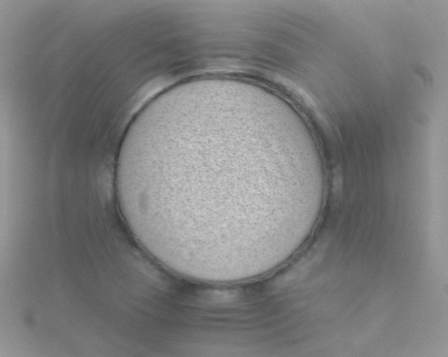 X0000115301409200911231300