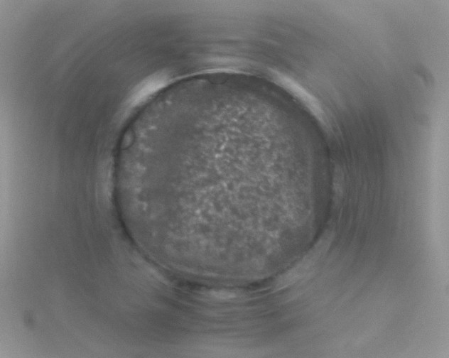 X0000115301411200911231300