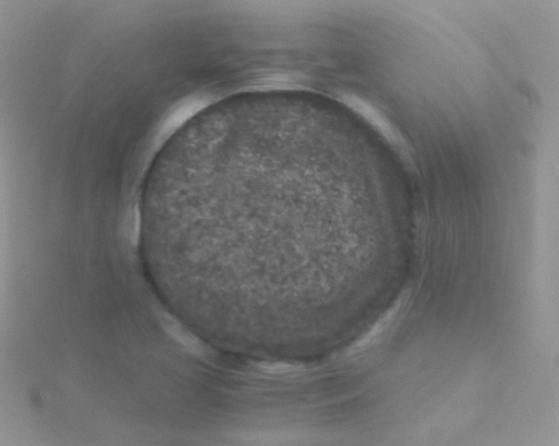 X0000115301413200911231300