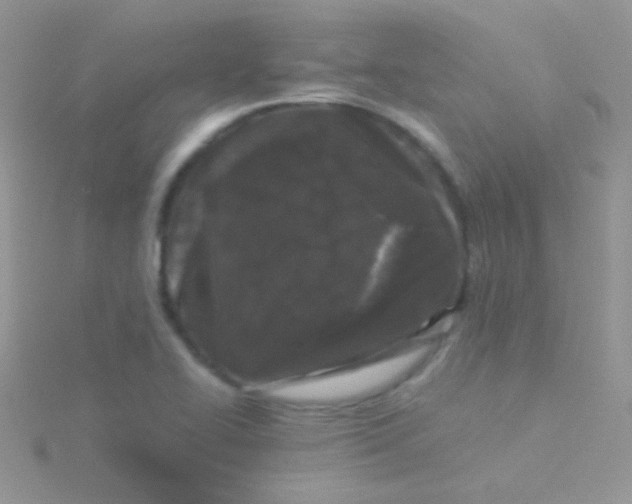 X0000115301414200911231300