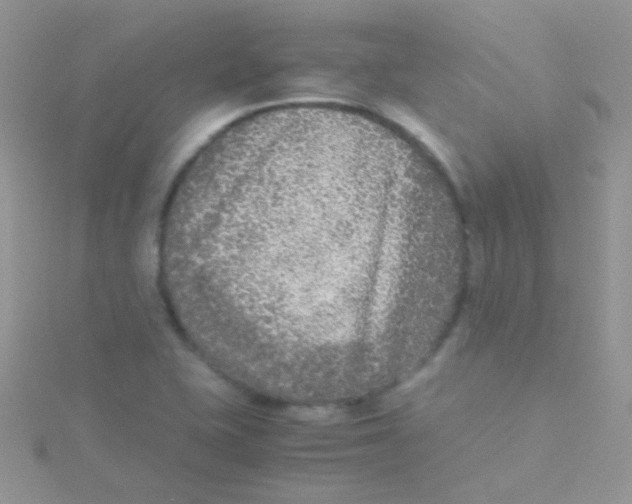 X0000115301415200911231300