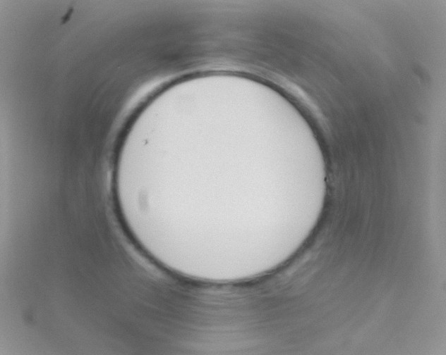 X0000115301416200911231300