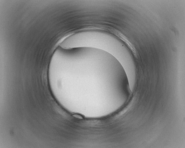 X0000115301417200911231300