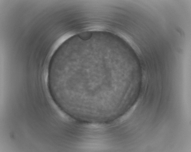 X0000115301418200911231300