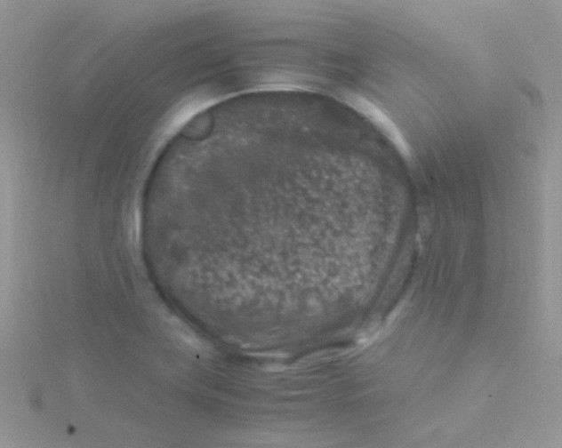 X0000115301419200911231300