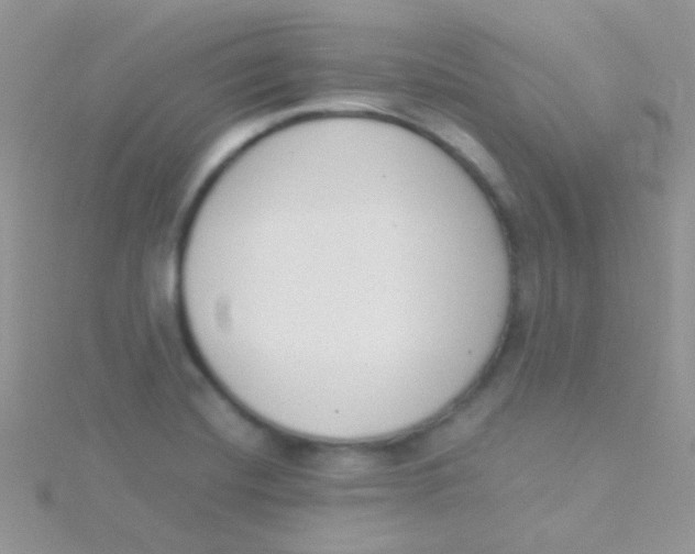 X0000115301420200911231300