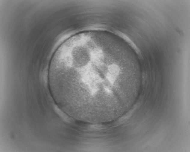 X0000115301421200911231300