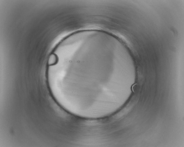 X0000115301422200911231300