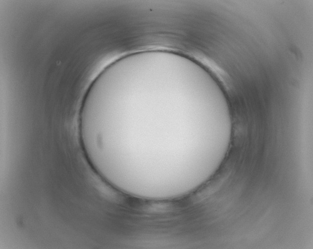 X0000115301423200911231300