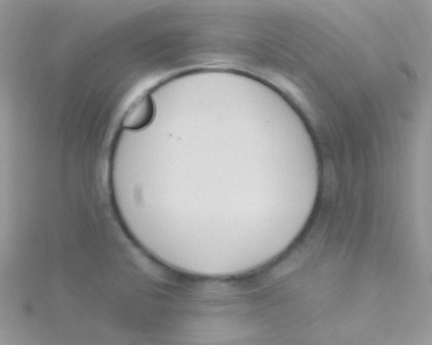 X0000115301424200911231300