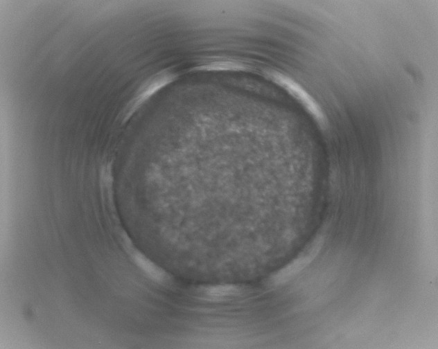 X0000115301425200911231300