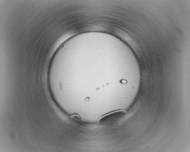 X0000115301426200911231300