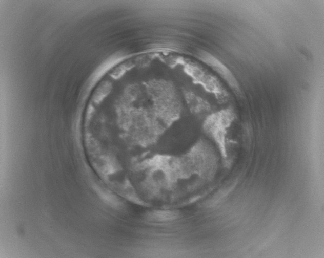 X0000115301427200911231300