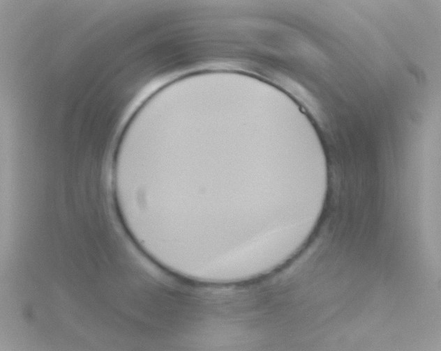 X0000115301428200911231300