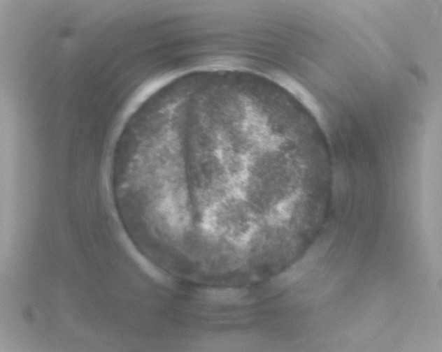 X0000115301429200911231300