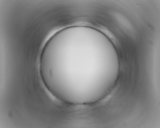 X0000115301430200911231300