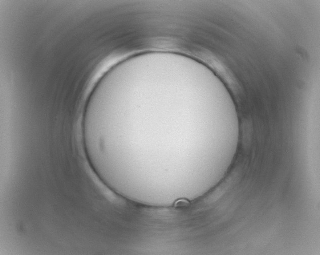 X0000115301432200911231300