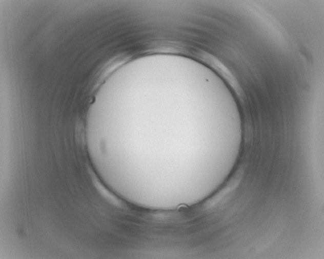 X0000115301433200911231300