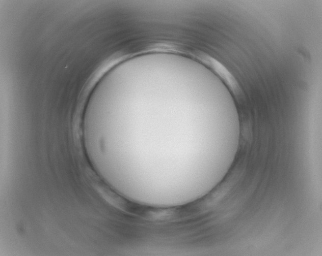 X0000115301435200911231300