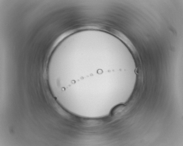 X0000115301436200911231300