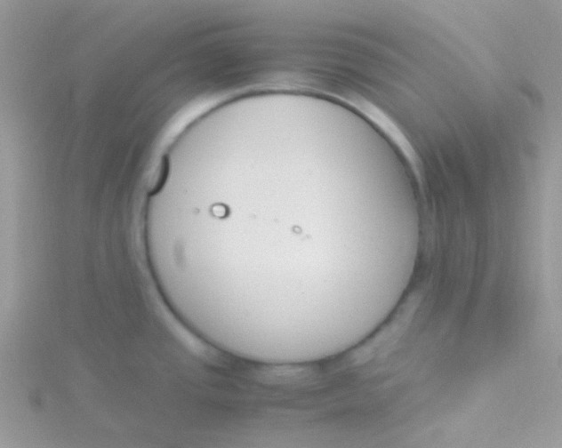 X0000115301437200911231300