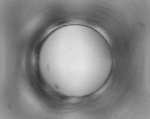 X0000115301438200911231300