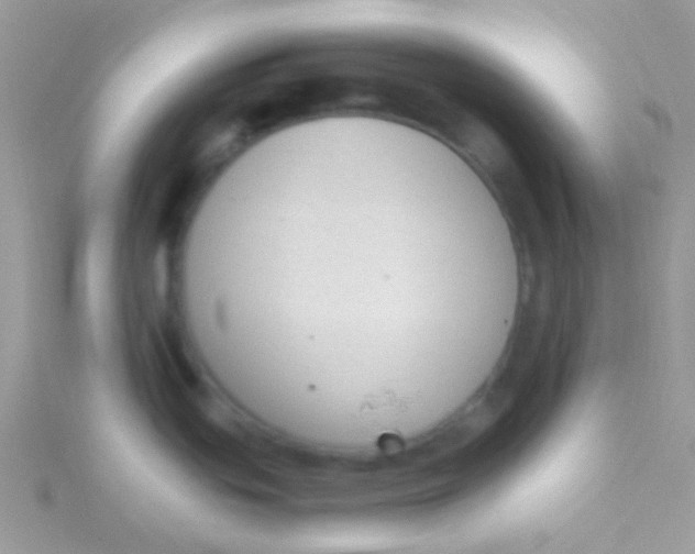 X0000115301439200911231300