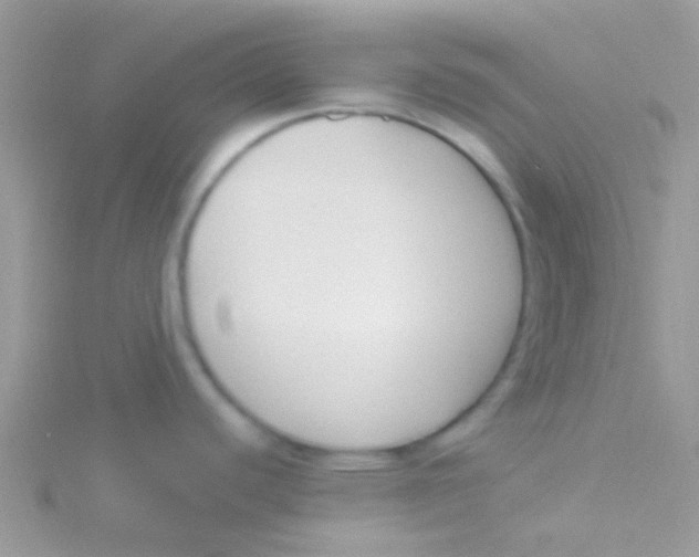 X0000115301440200911231300