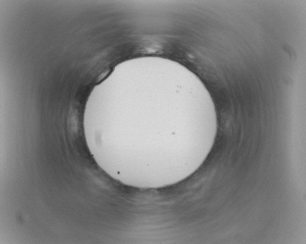 X0000115301442200911231259