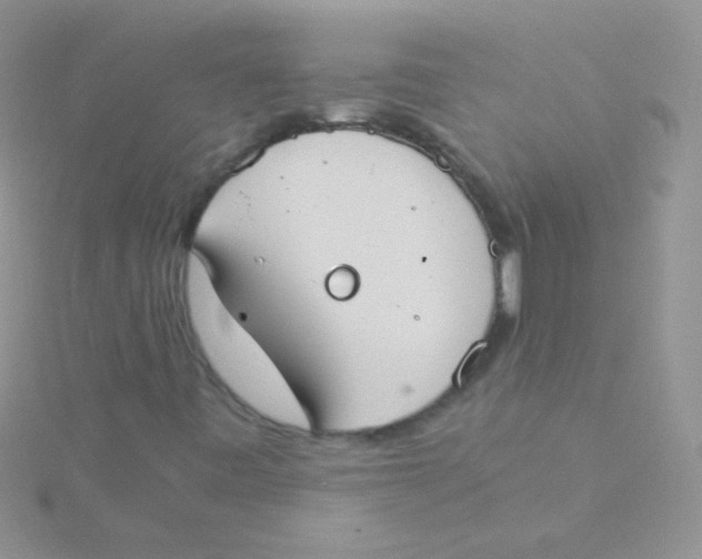 X0000115301443200911231259