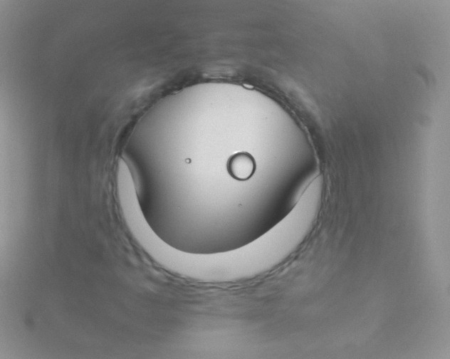 X0000115301445200911231259