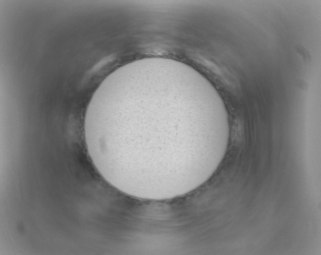 X0000115301446200911231259