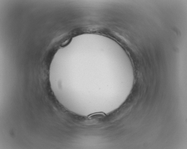 X0000115301447200911231259