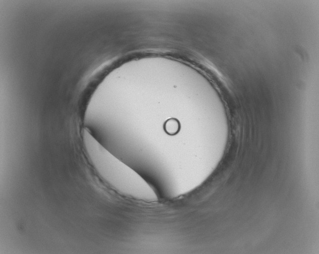 X0000115301448200911231259