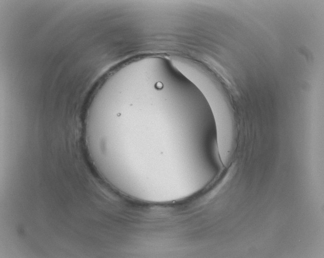 X0000115301449200911231259