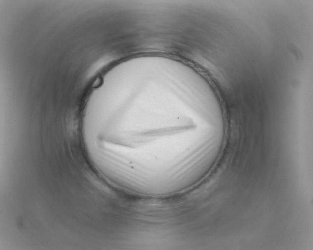 X0000115301450200911231259