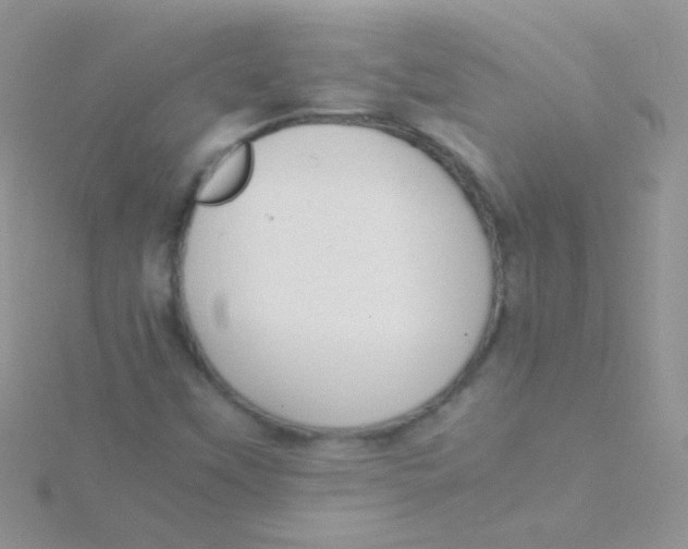 X0000115301451200911231259