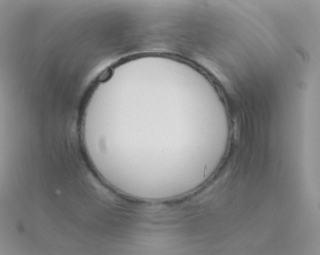 X0000115301452200911231259